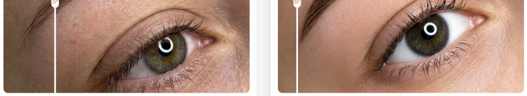 Referência de Excelência: Phibrows Elite