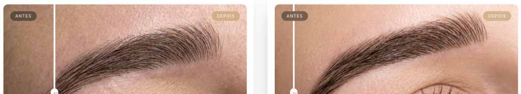 Referência de Excelência: Phibrows Elite